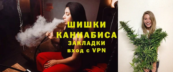 сатива Карпинск