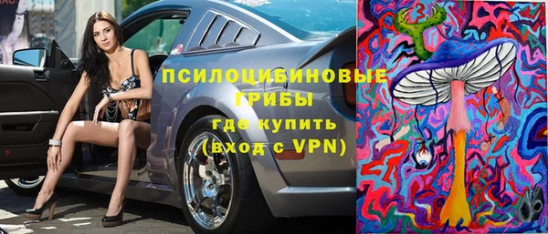 сатива Карпинск