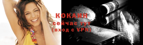 сатива Карпинск