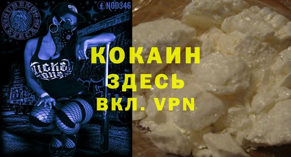 сатива Карпинск