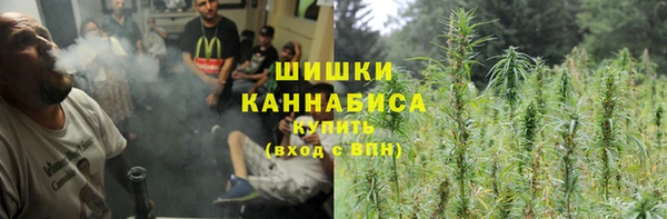 сатива Карпинск