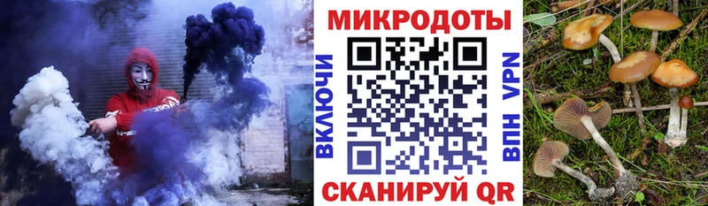 Купить где  Камызяк  Галлюциногенные грибы мицелий 